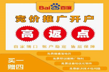 百度推广返点策略：案例解析与优化